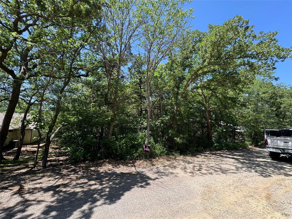 0000 Tanglewood Trail Property Photo 2