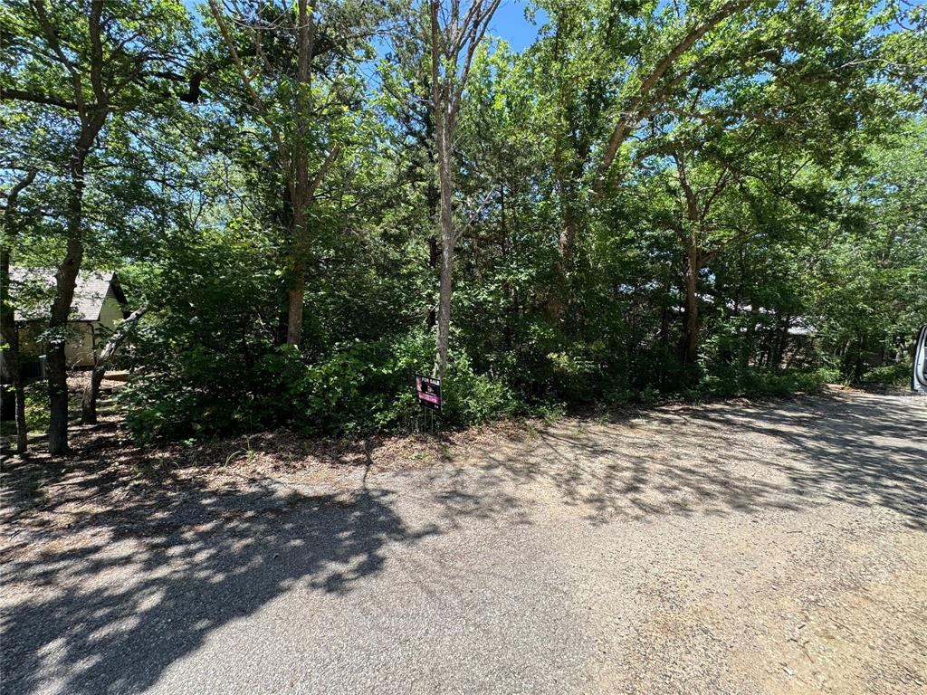 0000 Tanglewood Trail Property Photo 4