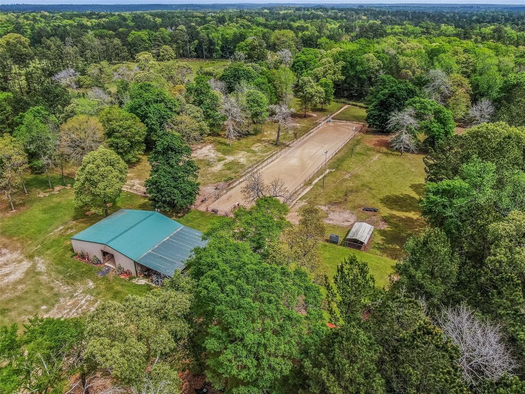 8381 State Hwy 75 Property Photo 3