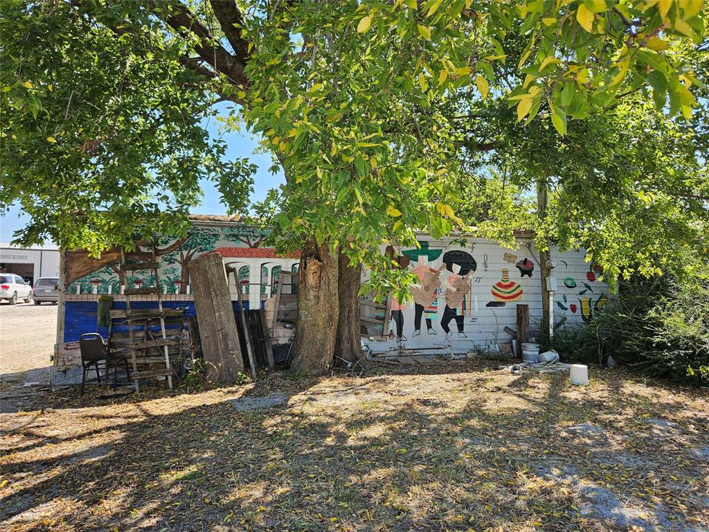1308 E Wise Street Property Photo 17