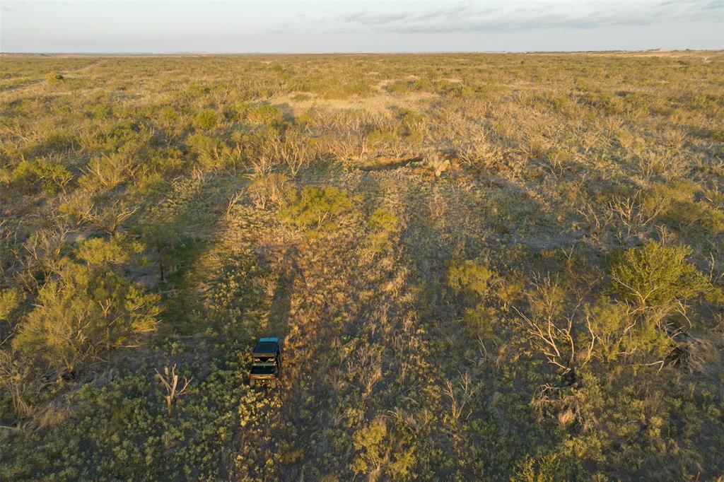 78.88 Ac Fm 2393 Property Photo 6