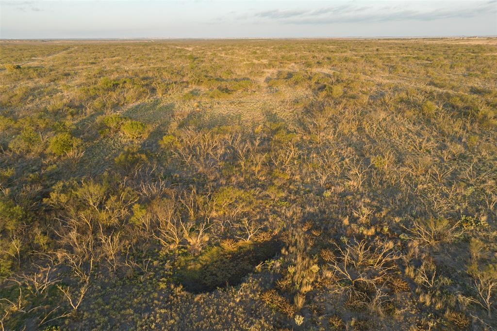 78.88 Ac Fm 2393 Property Photo 7