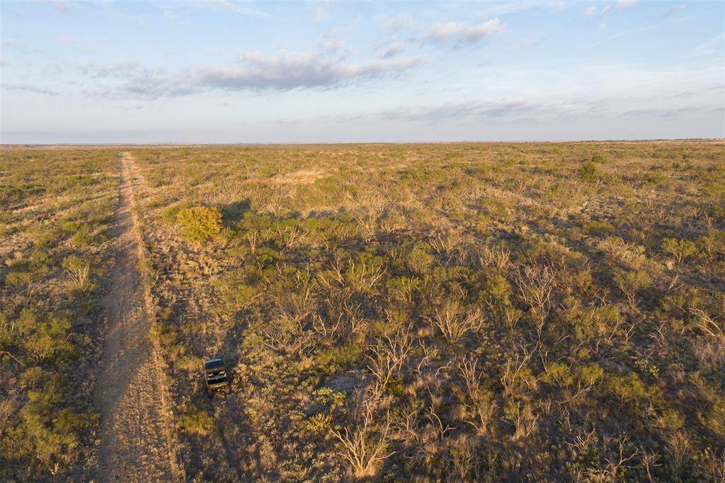 78.88 Ac Fm 2393 Property Photo 9