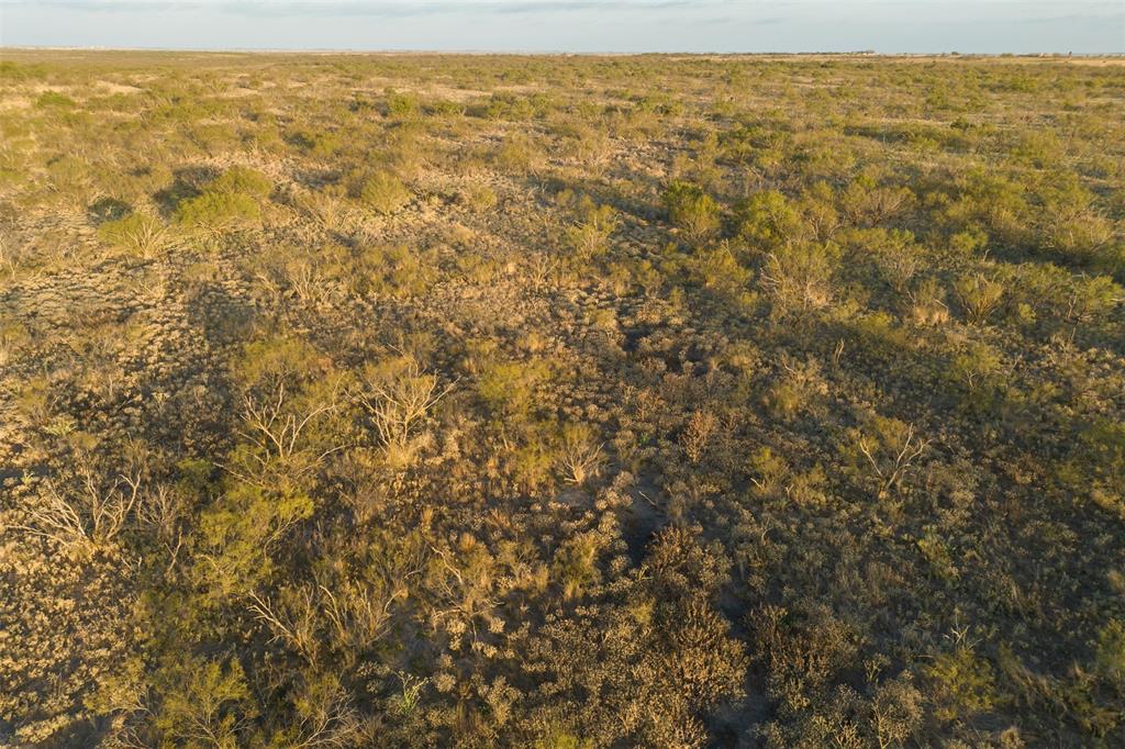 78.88 Ac Fm 2393 Property Photo 10
