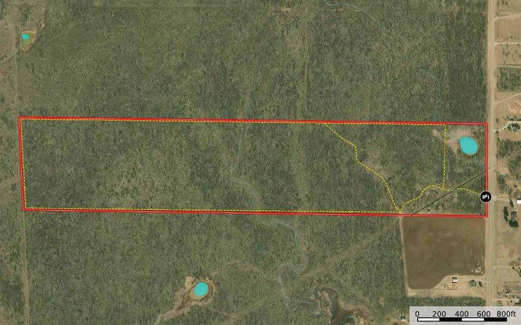 78.88 Ac Fm 2393 Property Photo 16
