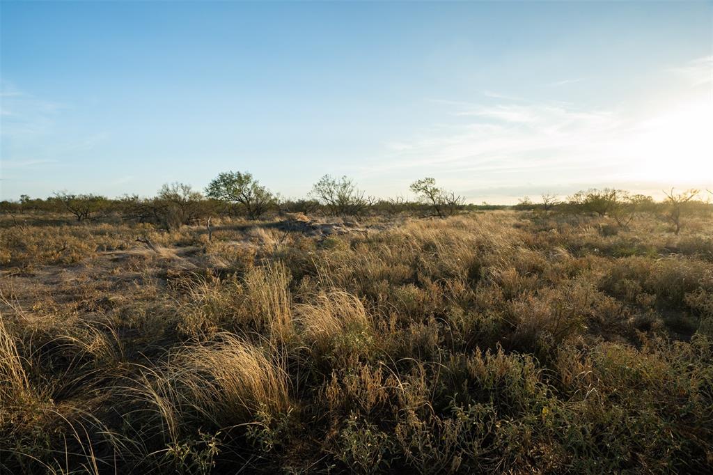 78.88 Ac Fm 2393 Property Photo 19