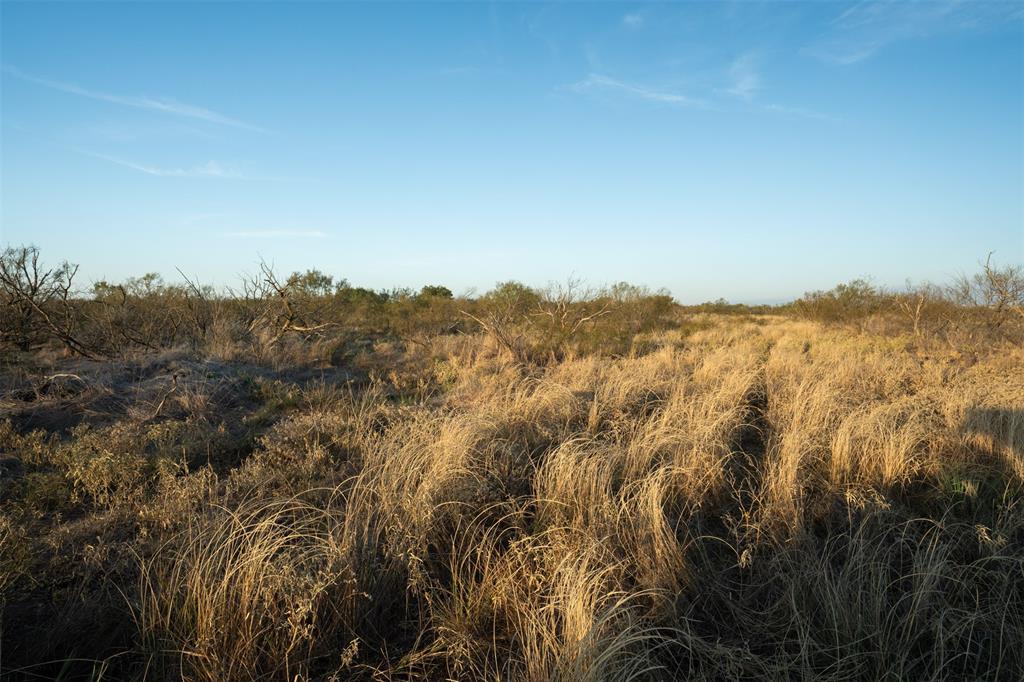 78.88 Ac Fm 2393 Property Photo 20