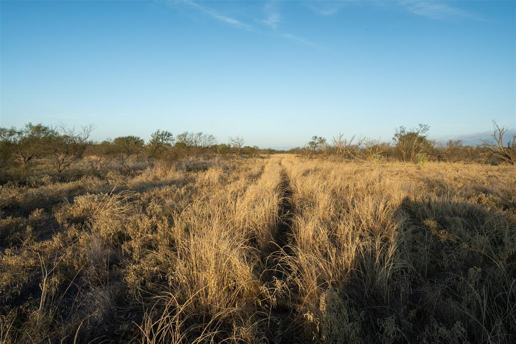 78.88 Ac Fm 2393 Property Photo 21