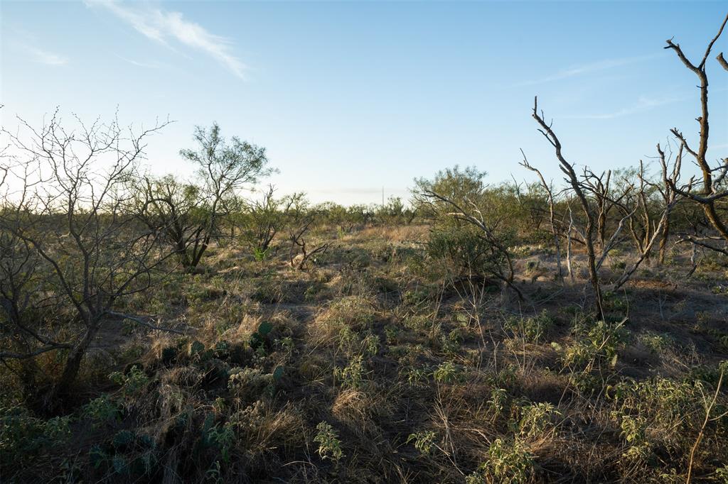78.88 Ac Fm 2393 Property Photo 22
