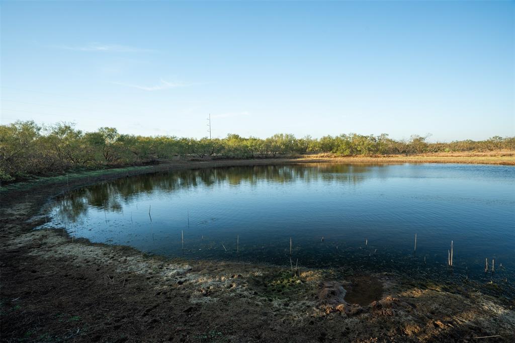 78.88 Ac Fm 2393 Property Photo 24