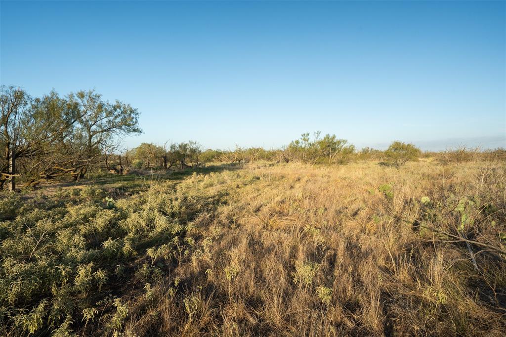 78.88 Ac Fm 2393 Property Photo 26
