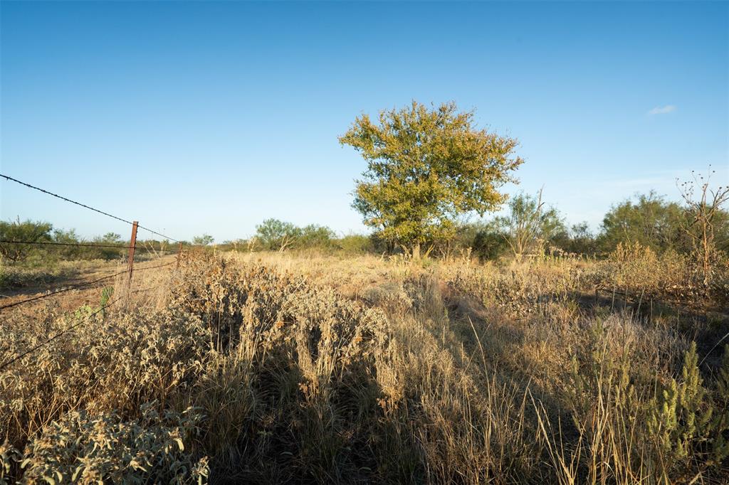 78.88 Ac Fm 2393 Property Photo 27