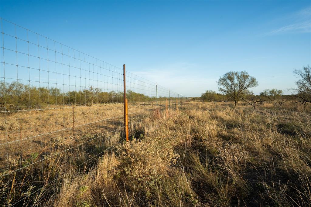 78.88 Ac Fm 2393 Property Photo 29
