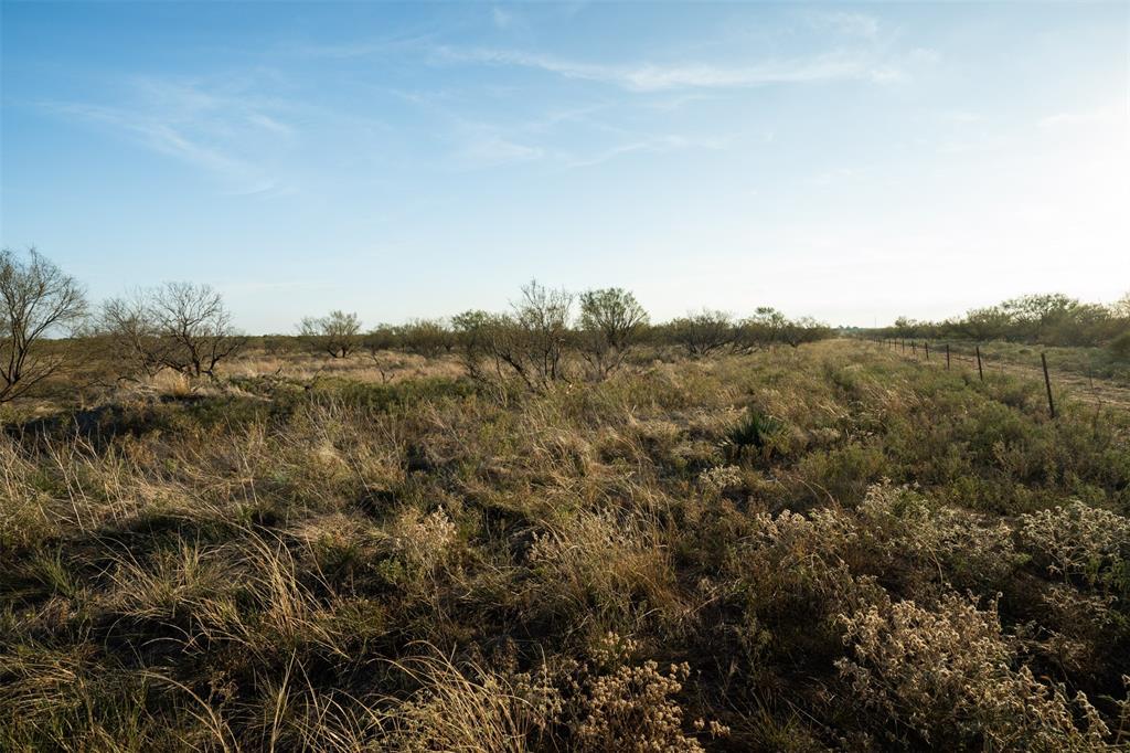 78.88 Ac Fm 2393 Property Photo 30