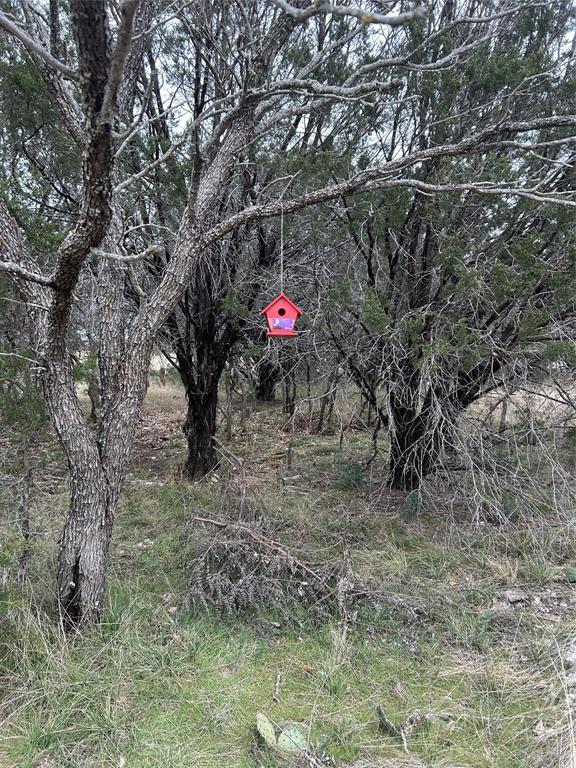 75 Coghill Drive Property Photo 1