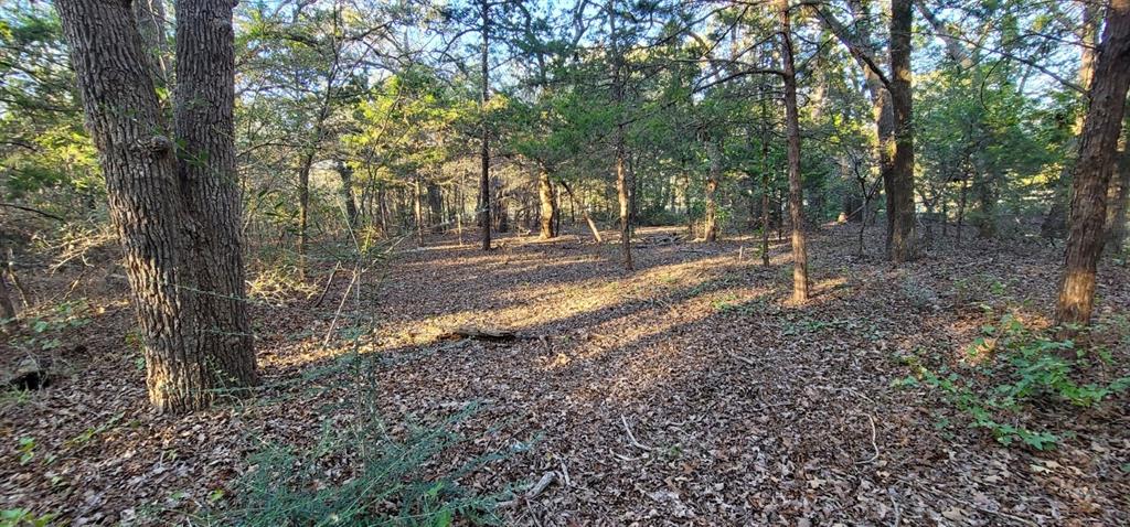 0 County Road 2261 Property Photo 11