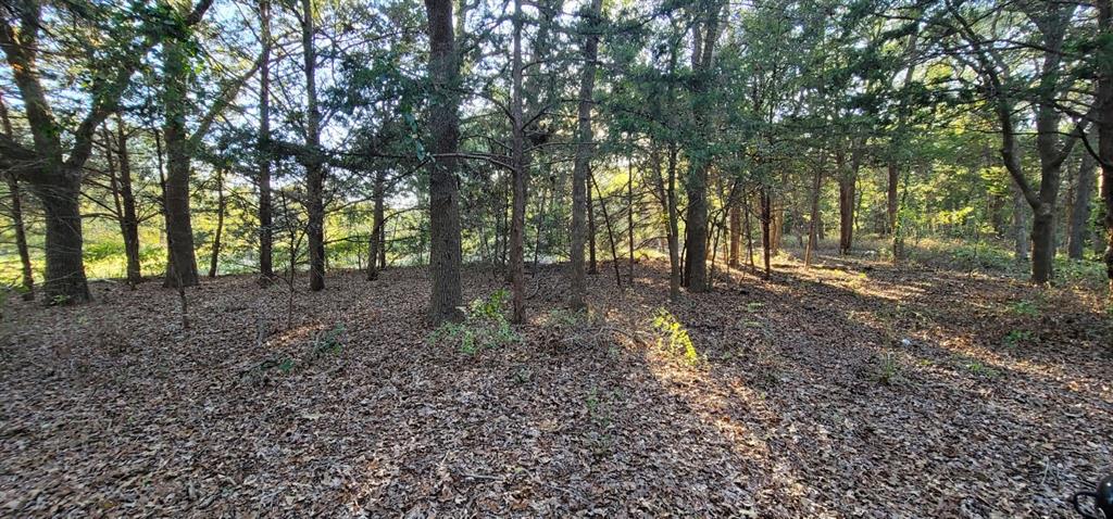 0 County Road 2261 Property Photo 12