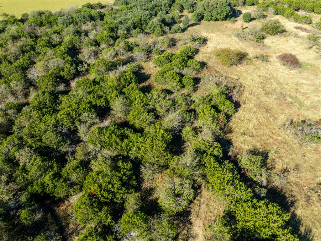 227 Private Road 12488 Property Photo 39