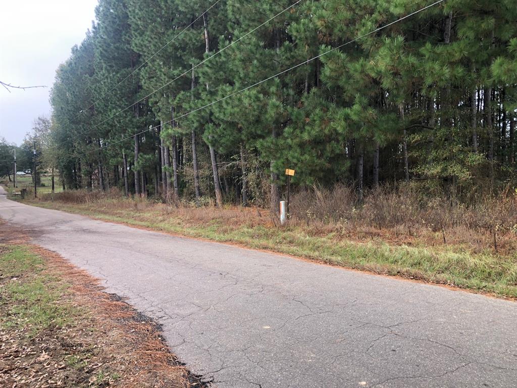Tbd County Road 4130 Property Photo 3