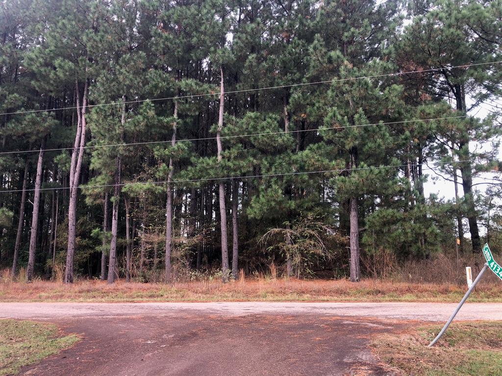 Tbd County Road 4130 Property Photo 4