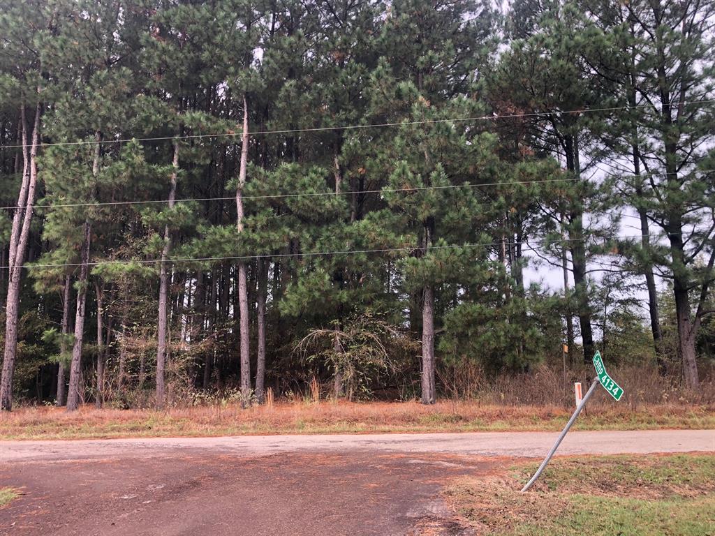 Tbd County Road 4130 Property Photo 5