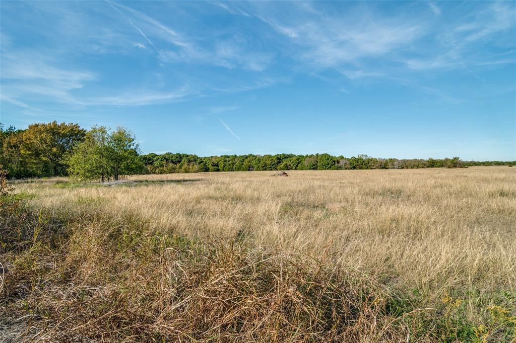 000 County Road 487 Property Photo 2