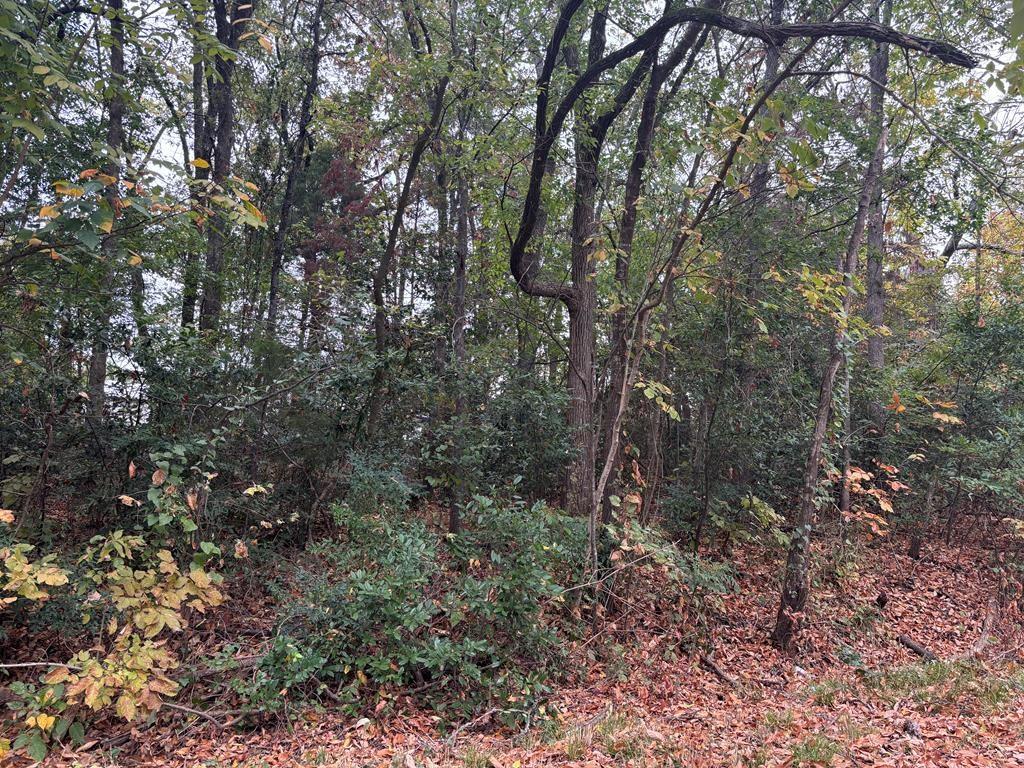 Tbd Henry Dupree Property Photo 1