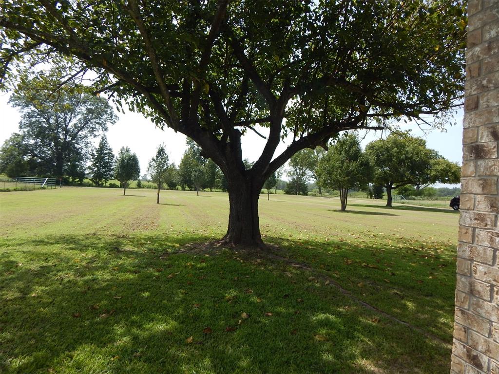 1931 County Road 3442 Property Photo 33