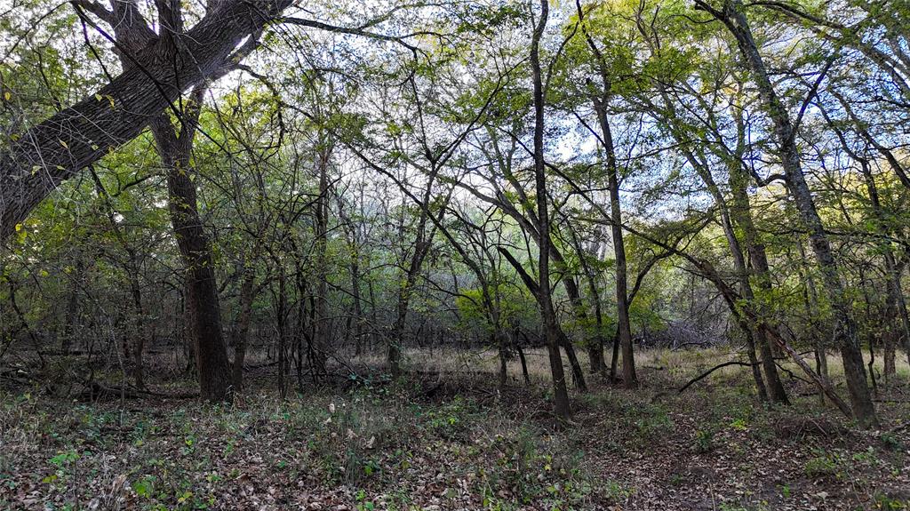 Tbd Old Stoney Road Property Photo 18