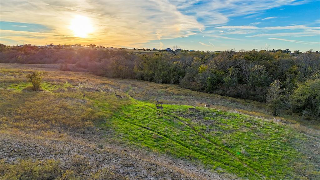 Tbd Old Stoney Road Property Photo 19