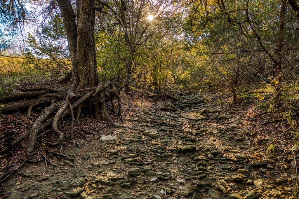 TBD Shady Oaks Property Photo 1