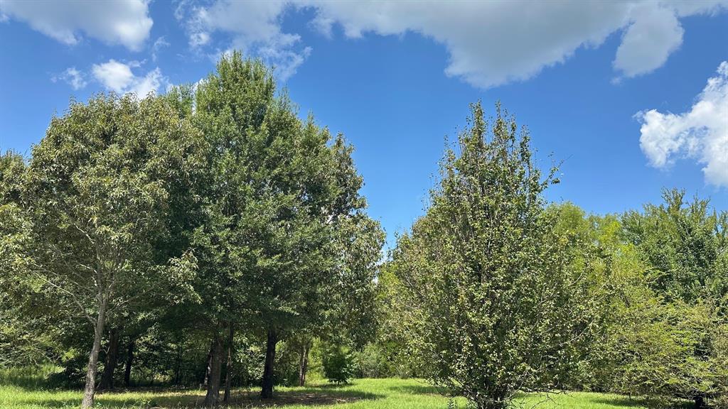 25.96 Ac Cr 4885 Property Photo 1