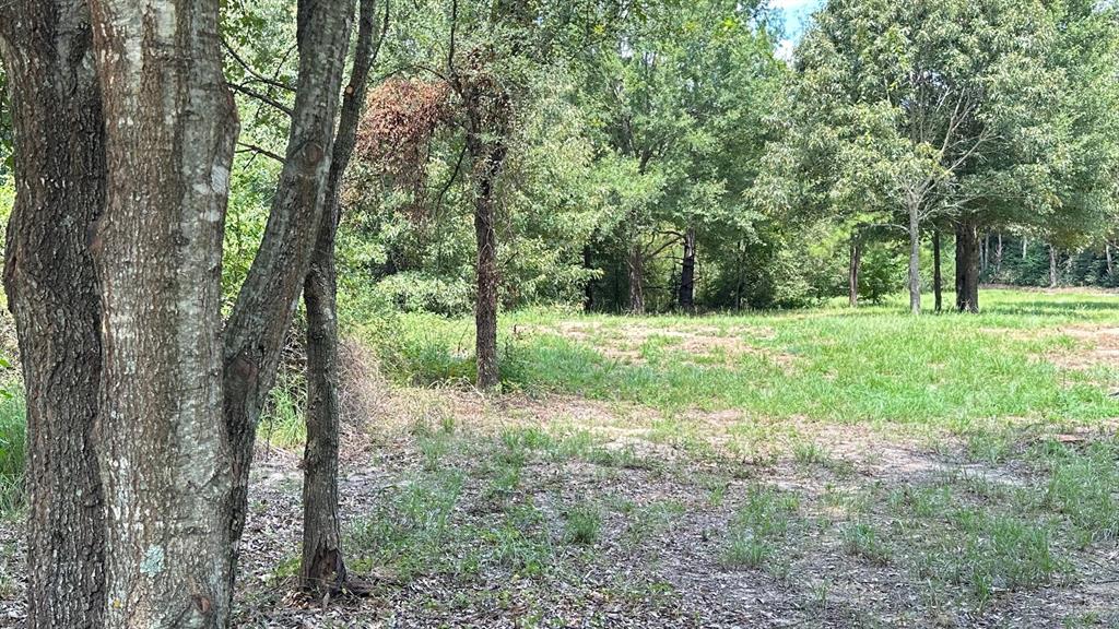 25.96 Ac Cr 4885 Property Photo 2