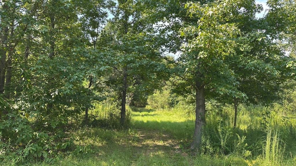 25.96 Ac Cr 4885 Property Photo 3