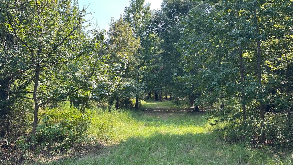 25.96 Ac Cr 4885 Property Photo 4