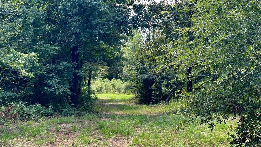 25.96 Ac Cr 4885 Property Photo 5