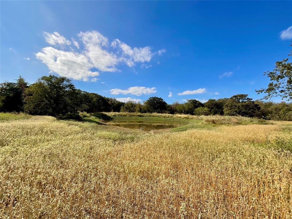 1466 Fm 934 Property Photo