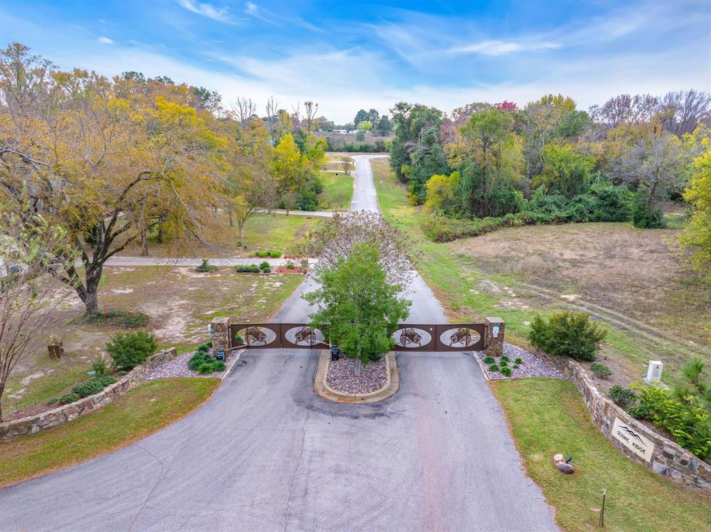 Lot 186 Lago Vista Drive Property Photo 1