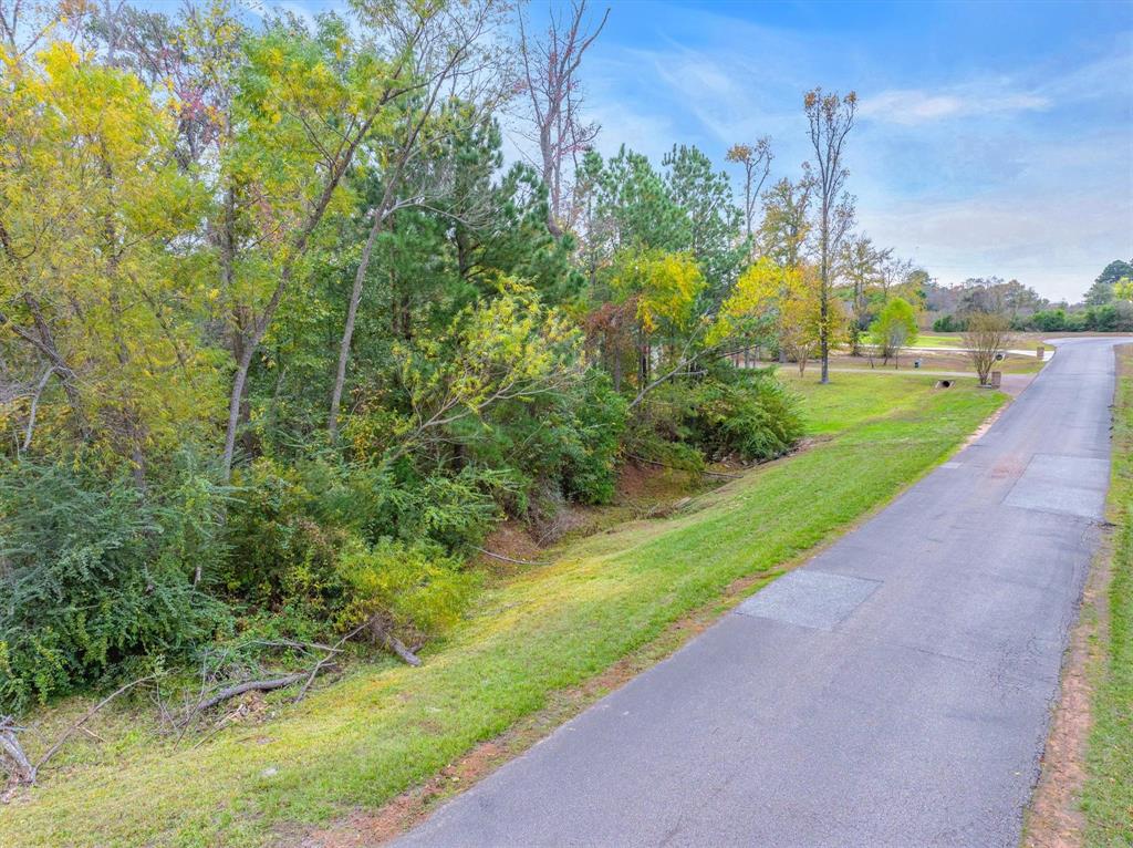 Lot 186 Lago Vista Drive Property Photo 9