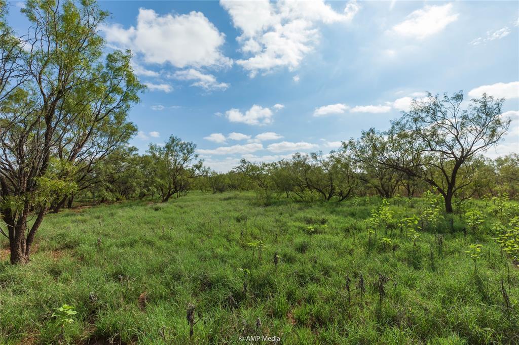Tbd Cr 252 Property Photo 14