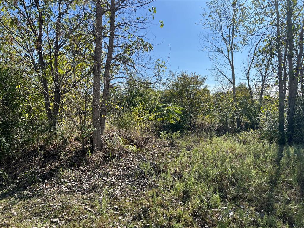721 Murdock Road Property Photo 10