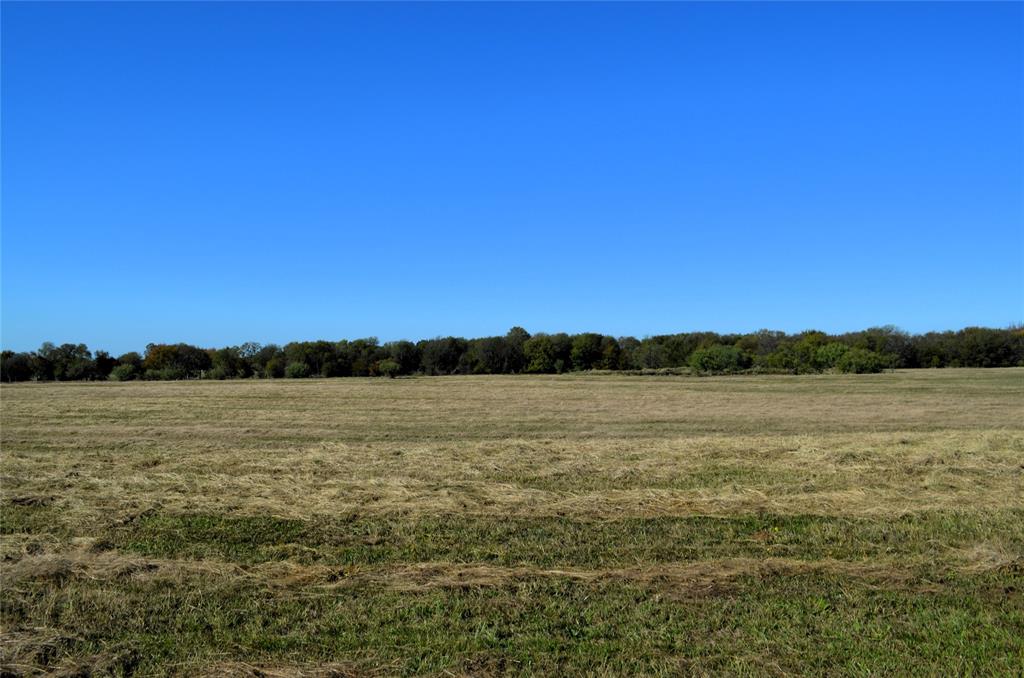 Tract 4 Fm 3080 Property Photo 4