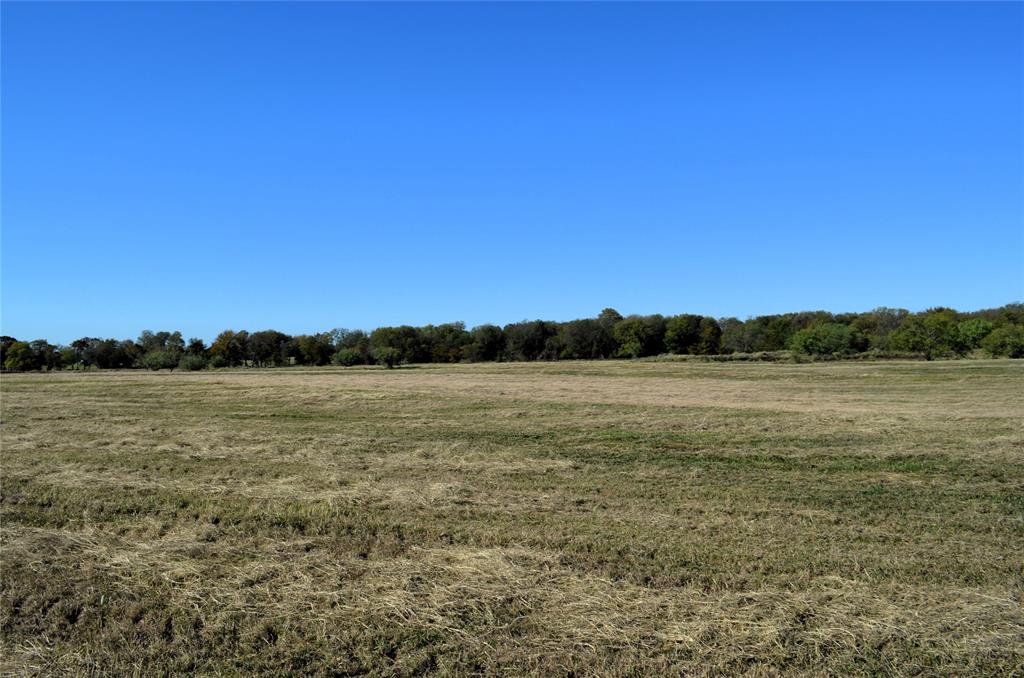 Tract 4 Fm 3080 Property Photo 5