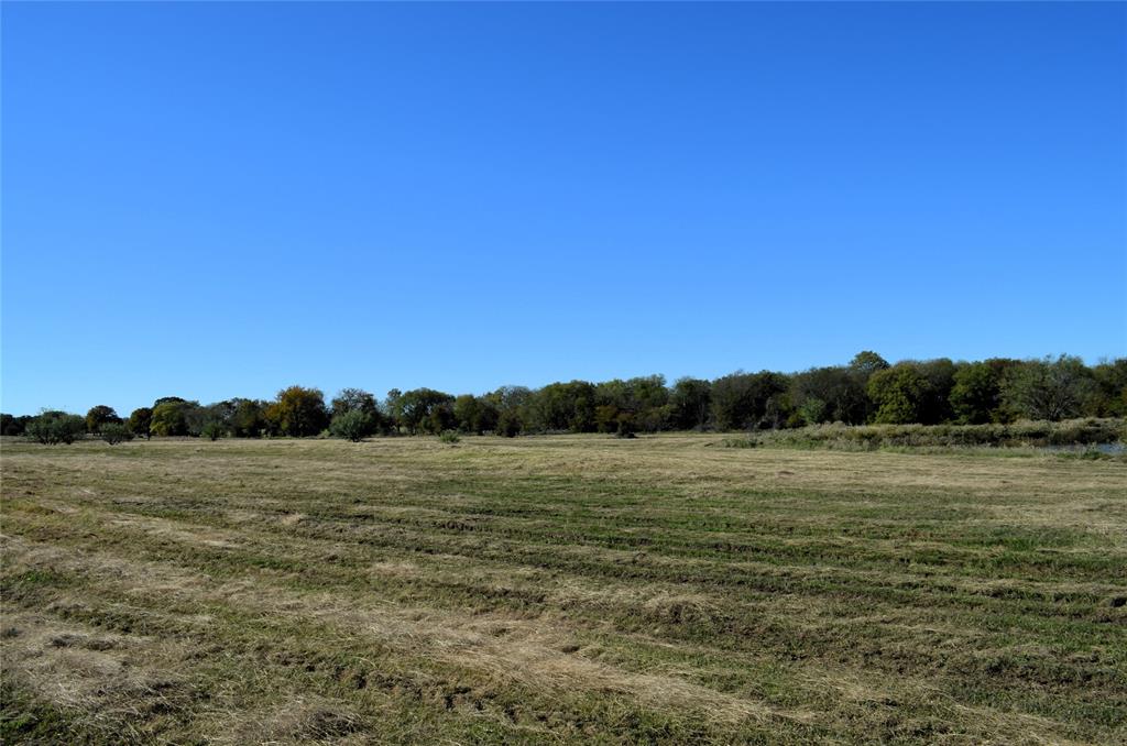 Tract 4 Fm 3080 Property Photo 6