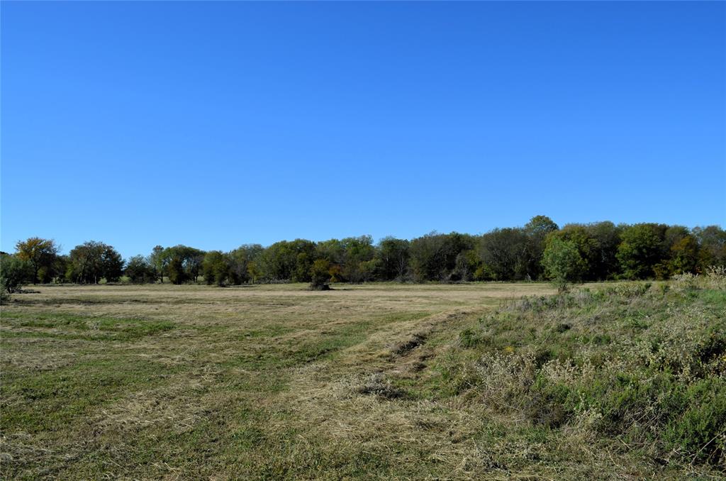 Tract 4 Fm 3080 Property Photo 8