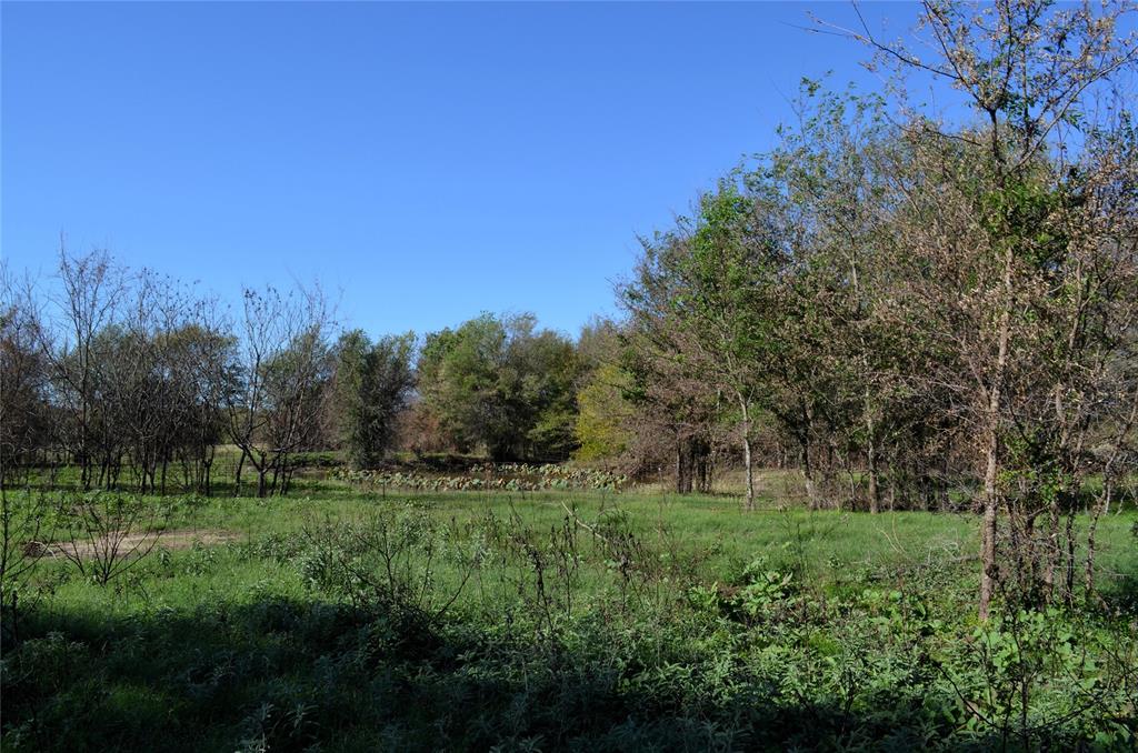 Tract 2 Fm 3080 Property Photo 4