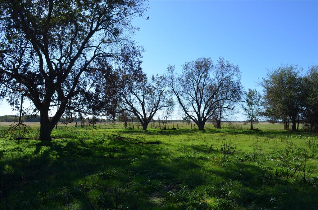 Tract 2 Fm 3080 Property Photo 14