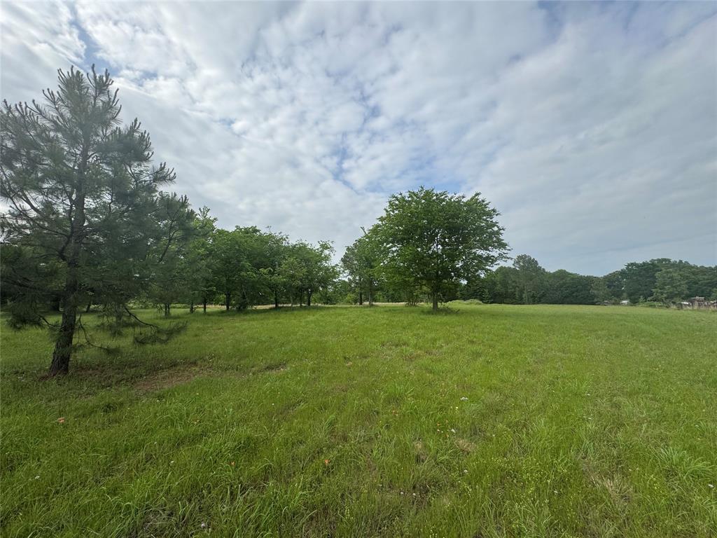 Tbd Vz Cr 1215 Property Photo 1