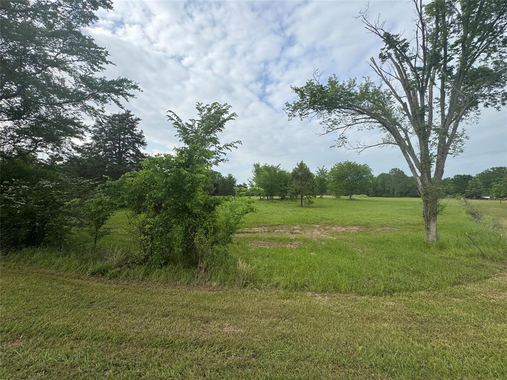 Tbd Vz Cr 1215 Property Photo 2