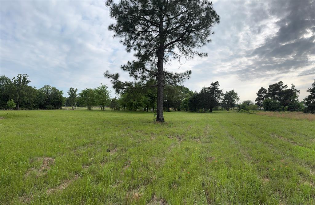 Tbd Vz Cr 1215 Property Photo 3